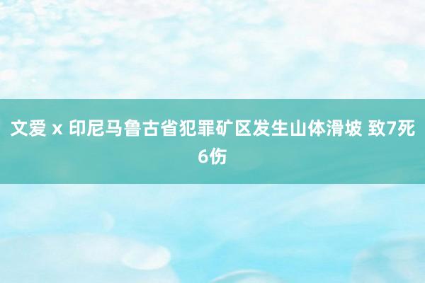 文爱 x 印尼马鲁古省犯罪矿区发生山体滑坡 致7死6伤