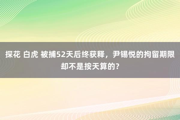 探花 白虎 被捕52天后终获释，尹锡悦的拘留期限却不是按天算的？