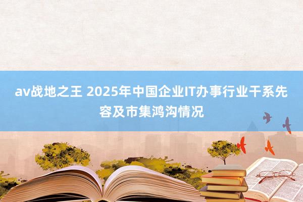 av战地之王 2025年中国企业IT办事行业干系先容及市集鸿沟情况