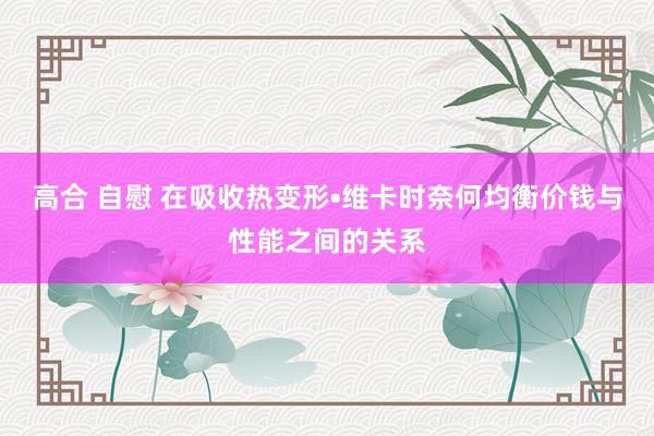 高合 自慰 在吸收热变形•维卡时奈何均衡价钱与性能之间的关系