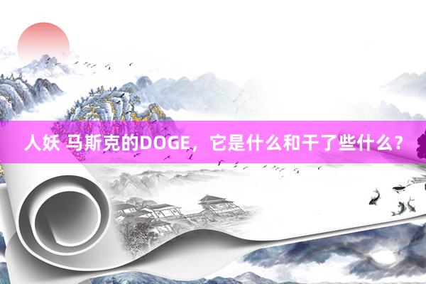 人妖 马斯克的DOGE，它是什么和干了些什么？