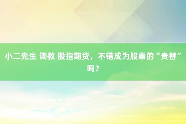 小二先生 调教 股指期货，不错成为股票的“贵替”吗？