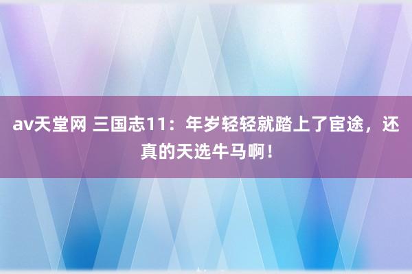 av天堂网 三国志11：年岁轻轻就踏上了宦途，还真的天选牛马啊！