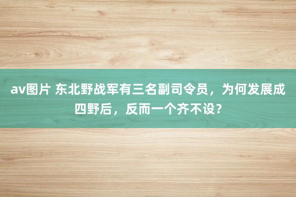 av图片 东北野战军有三名副司令员，为何发展成四野后，反而一个齐不设？
