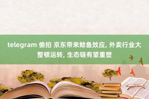telegram 偷拍 京东带来鲶鱼效应， 外卖行业大整顿运转， 生态链有望重塑