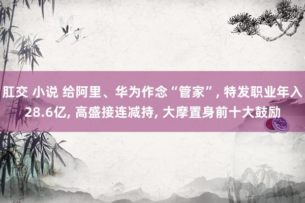 肛交 小说 给阿里、华为作念“管家”， 特发职业年入28.6亿， 高盛接连减持， 大摩置身前十大鼓励