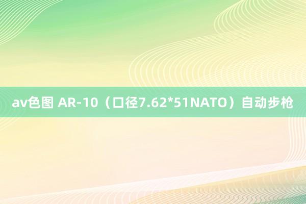 av色图 AR-10（口径7.62*51NATO）自动步枪