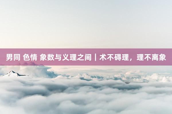 男同 色情 象数与义理之间｜术不碍理，理不离象