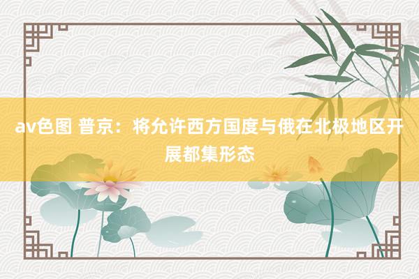 av色图 普京：将允许西方国度与俄在北极地区开展都集形态